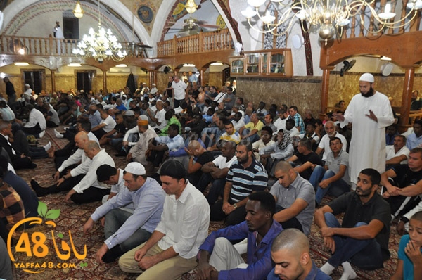 3ed ad7a ma7modiya (1).JPG